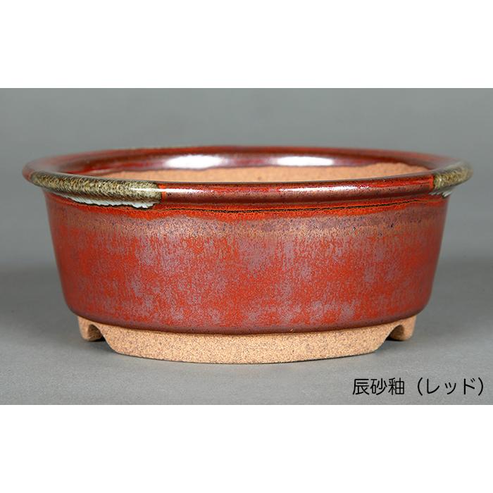 盆栽鉢 小石原焼3号外縁丸鉢4点セット 山草鉢 植木鉢 口径10cm 小品