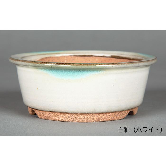 盆栽鉢 小石原焼3号外縁丸鉢4点セット 山草鉢 植木鉢 口径10cm 小品