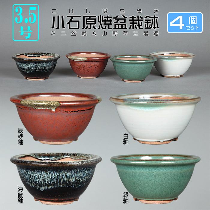 盆栽鉢 小石原焼3.5号椀型丸鉢4点セット 山草鉢 植木鉢 口径11cm