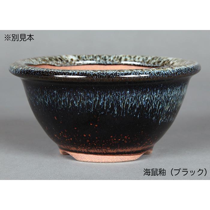 盆栽鉢 小石原焼3.5号椀型丸鉢4点セット 山草鉢 植木鉢 口径11cm 小品