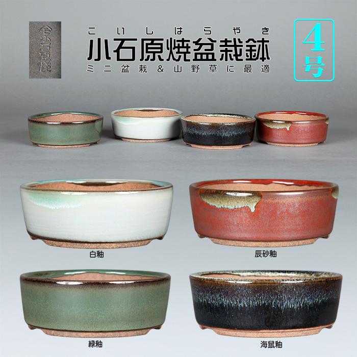 盆栽鉢 小石原焼4号切立丸鉢 山草鉢 植木鉢 口径4号 小品盆栽 ミニ盆栽