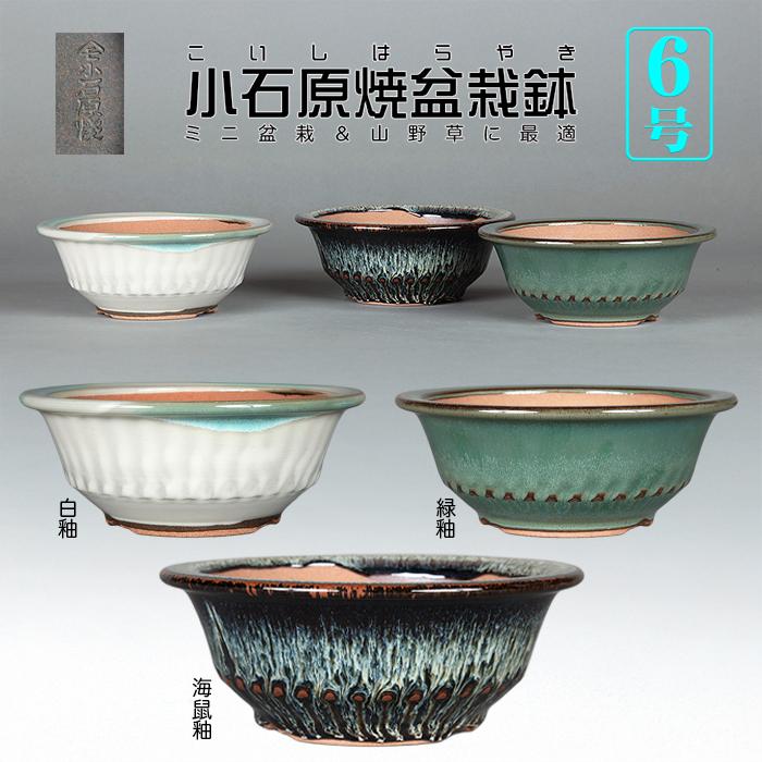 盆栽鉢 小石原焼6号胴縄丸鉢 山草鉢 植木鉢 口径18cm 中品盆栽 貴風