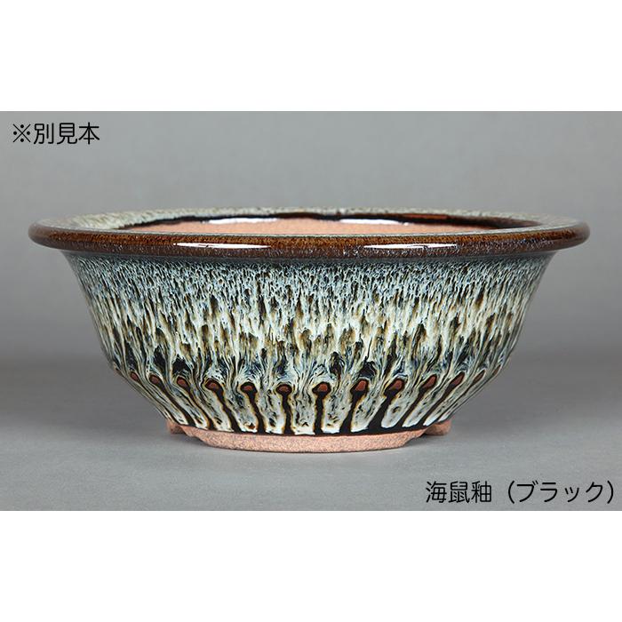 盆栽鉢 小石原焼6号胴縄丸鉢 山草鉢 植木鉢 口径18cm 中品盆栽 貴風