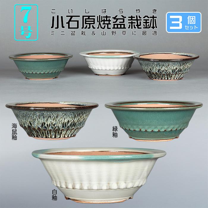 盆栽鉢 小石原焼7号胴縄丸鉢3点セット 山草鉢 植木鉢 口径21cm 中品