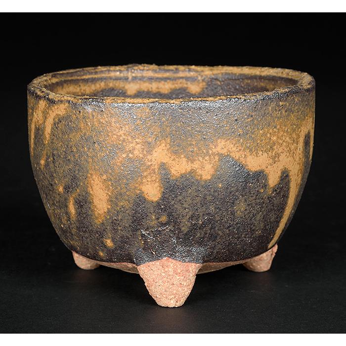 盆栽鉢 山野草鉢 「信楽焼楽風ミニ鉢6点セット」 植木鉢 陶器 3号 10cm