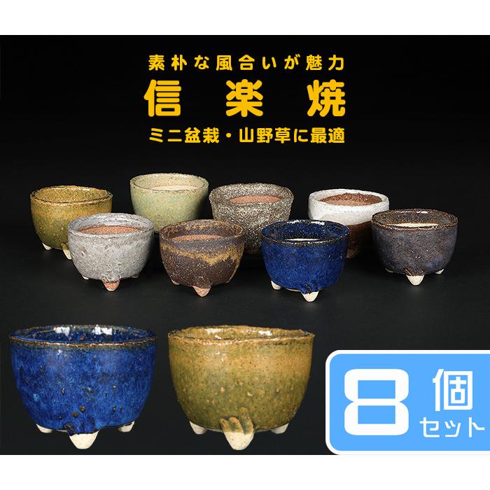 盆栽鉢 山野草鉢 「信楽焼楽風ミニ鉢8点セット」 植木鉢 陶器 2