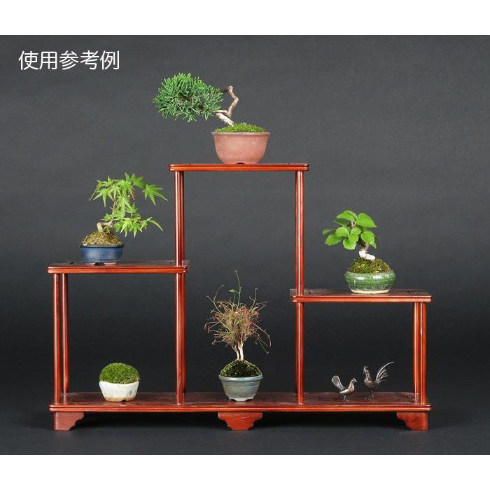 三段飾り棚「箱根」 在庫処分 2級品 小品盆栽・ミニ盆栽に最適 小品