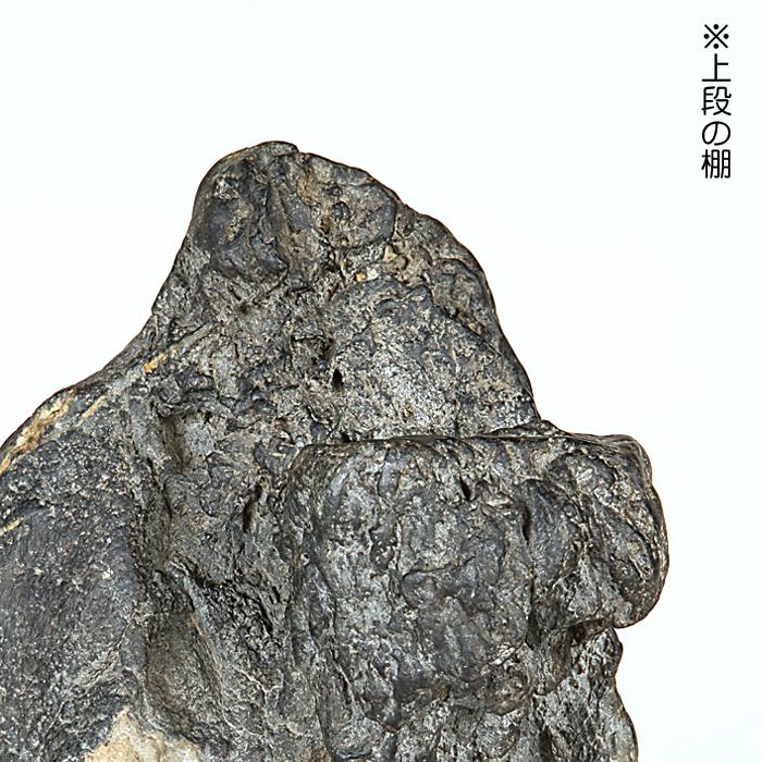 水石 「天竜川石」 盆石 天然石 すいせき 台座付き 現品限り : 盆栽彩