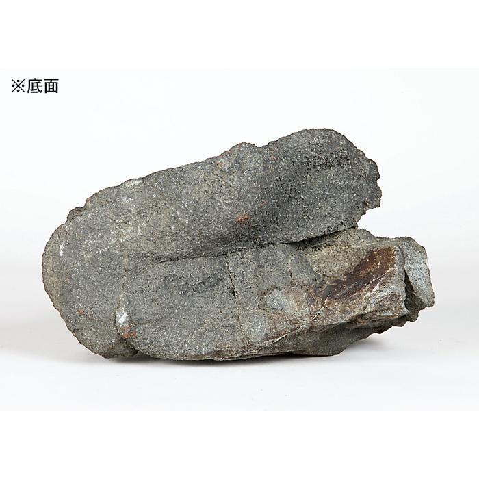 水石 「加茂川石」 盆石 天然石 すいせき 台座付き 現品限り : 盆栽彩