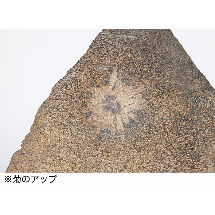 水石 「根尾菊花石」 盆石 天然石 すいせき 台座付き 現品限り : 盆栽