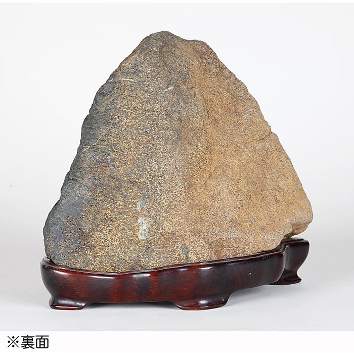 大型 菊花石 下仁田菊花石 菊寿石 鑑賞石 水石 自然石 盆石 盆栽 木製台座 水石 「根尾菊花石」 盆石 天然石 すいせき 台座付き 現品限り : 盆栽