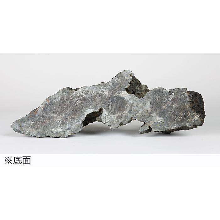 水石 「八瀬双岳石」 盆石 天然石 すいせき 台座付き 現品限り : 盆栽