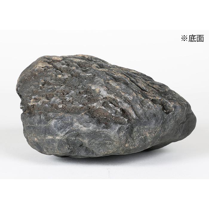 水石 「千仏石」 盆石 天然石 観賞石 姿石 すいせき 台座付き 水石 「千仏石」 盆石 天然石 観賞石 姿石 すいせき 台座付き