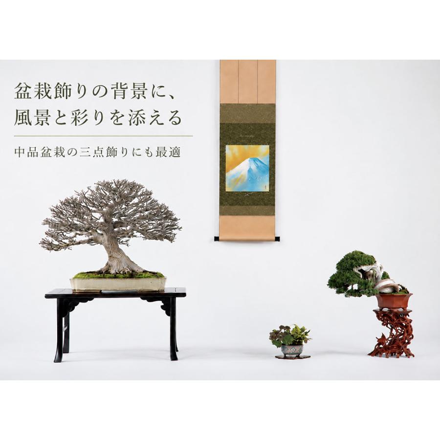 掛け軸 色紙掛け 短冊掛け 衣笠緞子本仕立て 幅31cm 高さ125cm 日本製