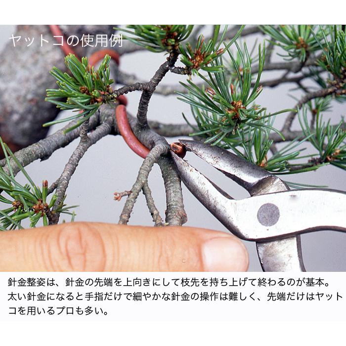 盆栽道具 盆栽手入れ道具 「神八床（ジンヤットコ）大 」やっとこ 盆栽