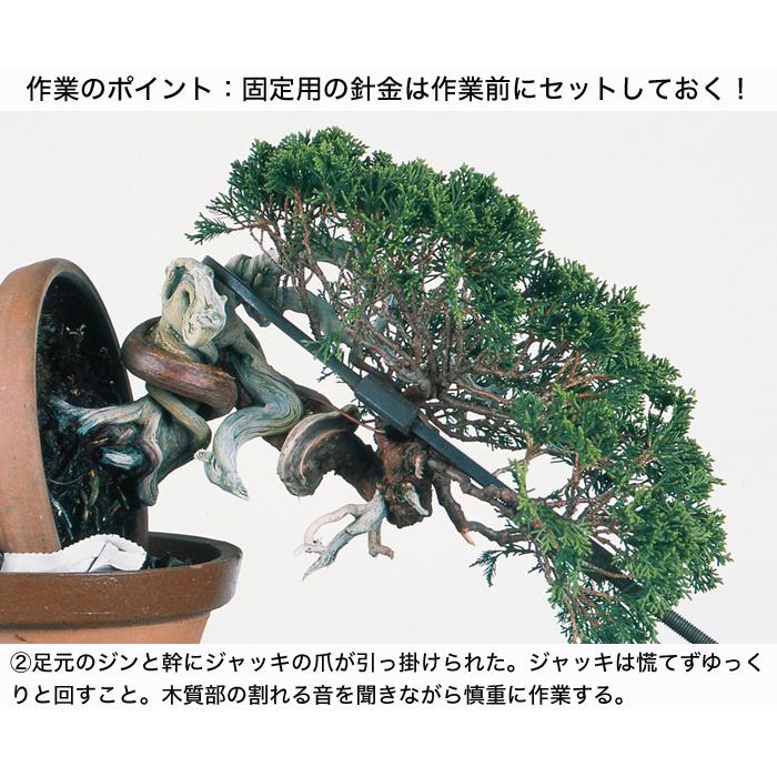 盆栽道具 手入れ道具 「盆栽ジャッキ伸縮両用型 豆 」 ハタガネ型 盆栽