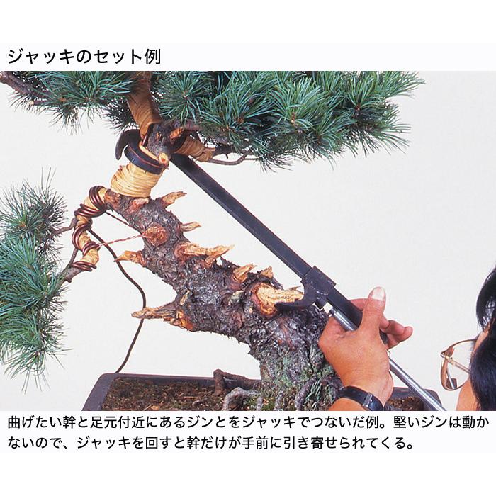 盆栽道具 手入れ道具 「盆栽ジャッキ伸縮両用型 中 」 ハタガネ型 盆栽
