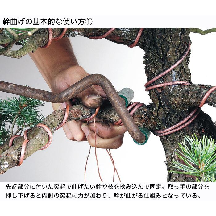 盆栽道具 手入れ道具 「ステンレス製自在式枝曲器」 幹曲げ器 盆栽の幹