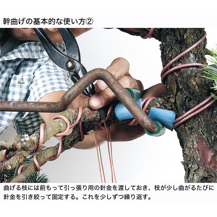 盆栽道具 手入れ道具 「ステンレス製自在式枝曲器」 幹曲げ器 盆栽の幹