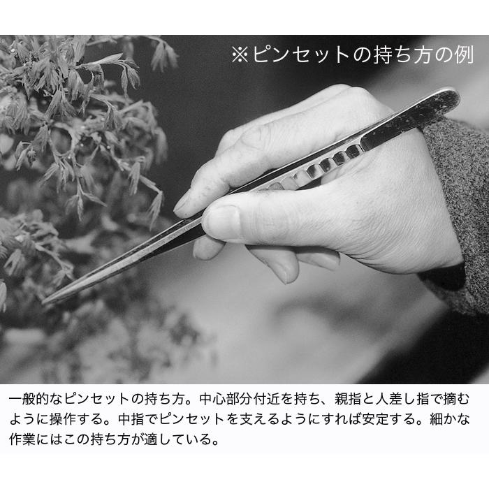 盆栽道具 手入れ道具 「本職用ヘラ付ピンセット 直」 芽つみ 芽摘み 芽