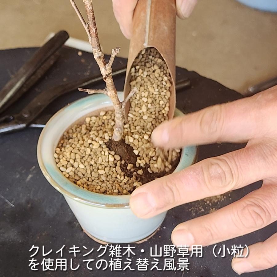 盆栽用土 完全混合培養土 「クレイキング 雑木・山野草用 小粒」 10