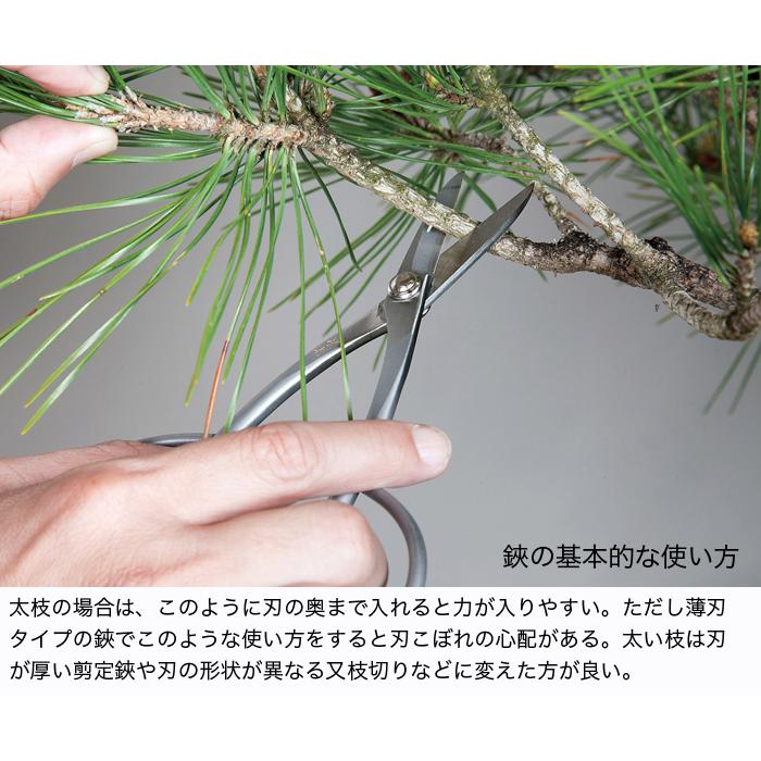 盆栽道具 盆栽鋏 剪定鋏 「ステンレス製足長盆栽鋏」 枝切り鋏 はさみ