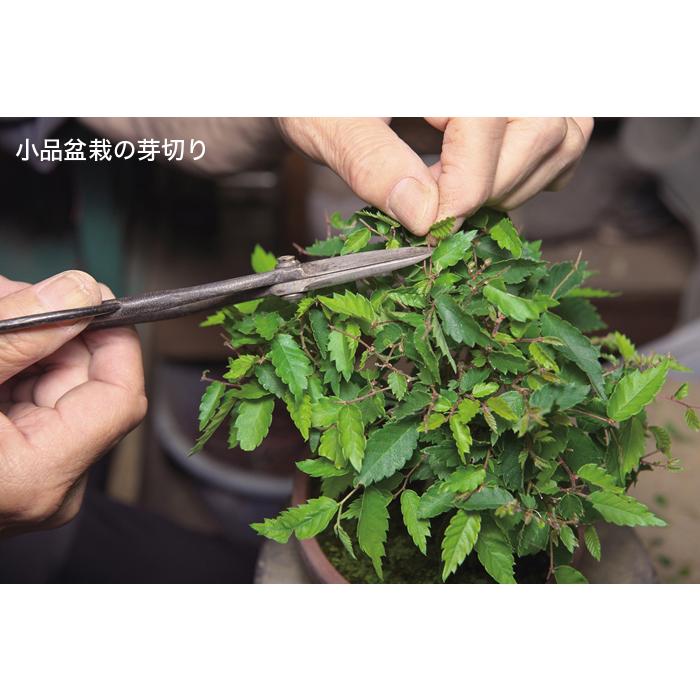 盆栽道具 盆栽鋏 剪定鋏 「ステンレス製足長盆栽鋏」 枝切り鋏 はさみ