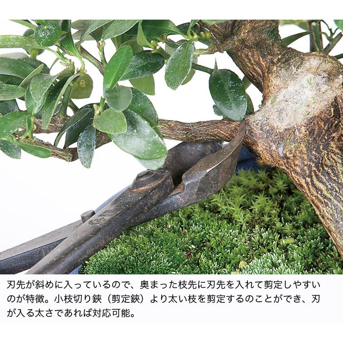 盆栽道具 盆栽鋏 剪定鋏「又枝切り 大 」枝抜き 太枝処理 改作道具
