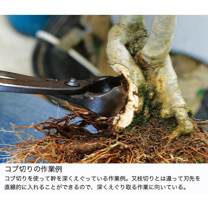 盆栽道具 盆栽鋏 剪定鋏「コブ切り 大 」枝抜き 太枝 根の処理 改作