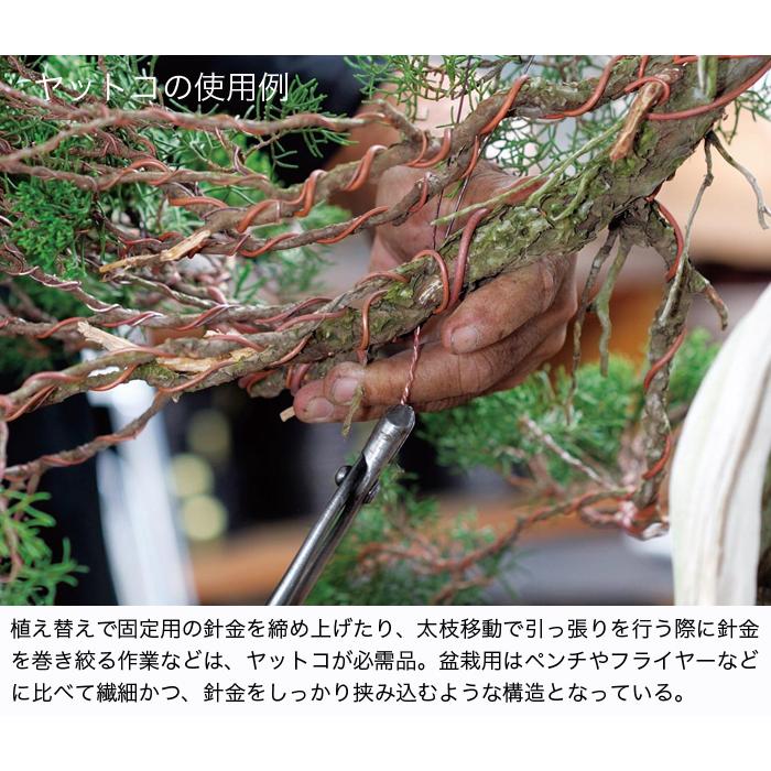 盆栽道具 盆栽手入れ道具 「ステンレス製やっとこ 大 」 八床 盆栽の整
