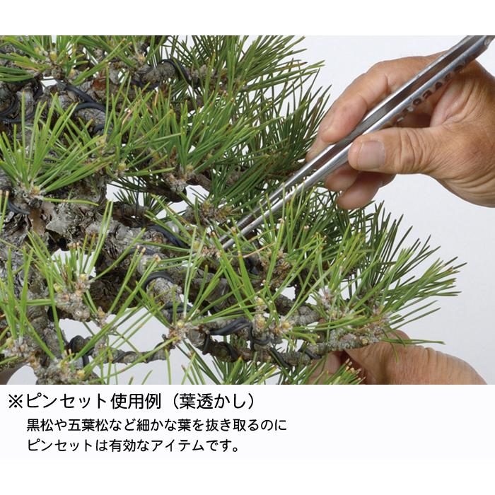 星光 ステンレス製根切(小) 未使用 箱付き 盆栽 【公式通販】