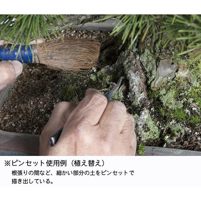 星光 ステンレス製根切(小) 未使用 箱付き 盆栽 【公式通販】