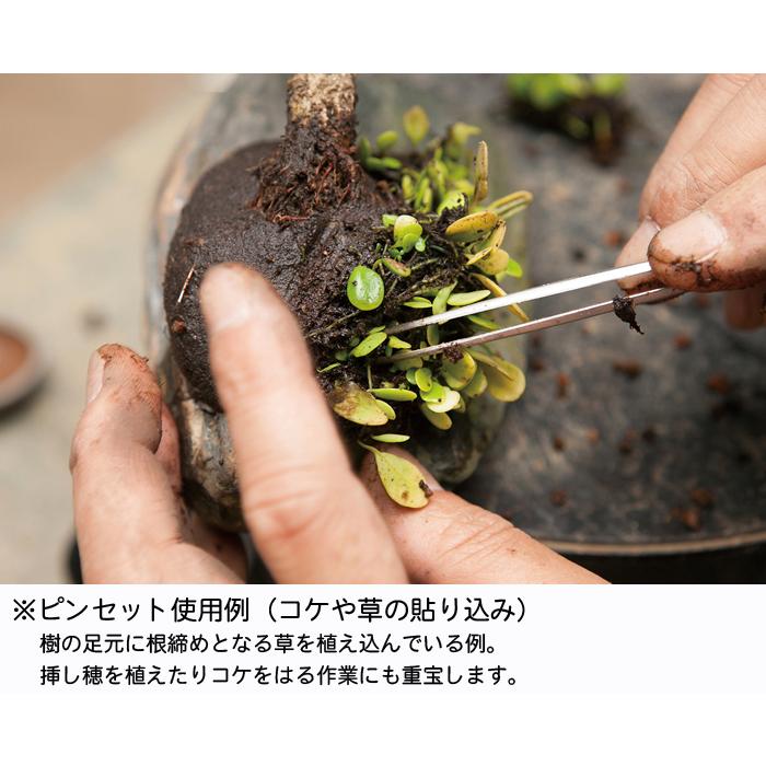 盆栽道具 手入れ道具 「ステンレス製ヘラ付ピンセット 曲 （星光製
