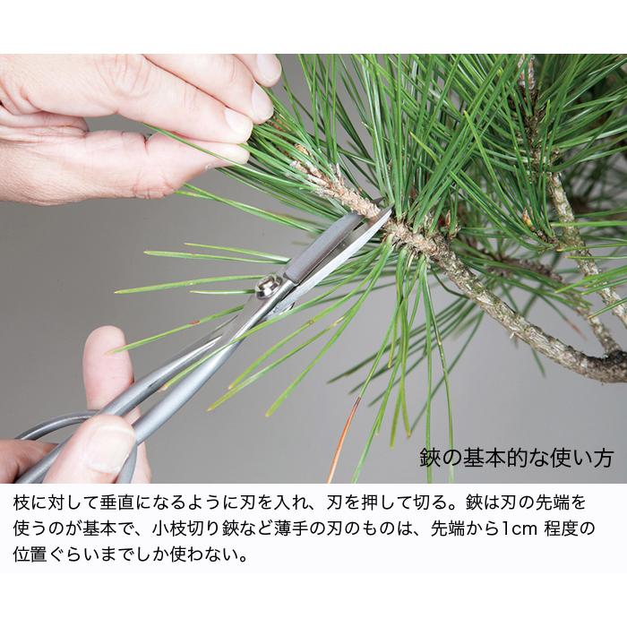 盆栽道具 盆栽鋏 剪定鋏 「ステンレス製芽切り鋏」 芽摘み鋏 はさみ