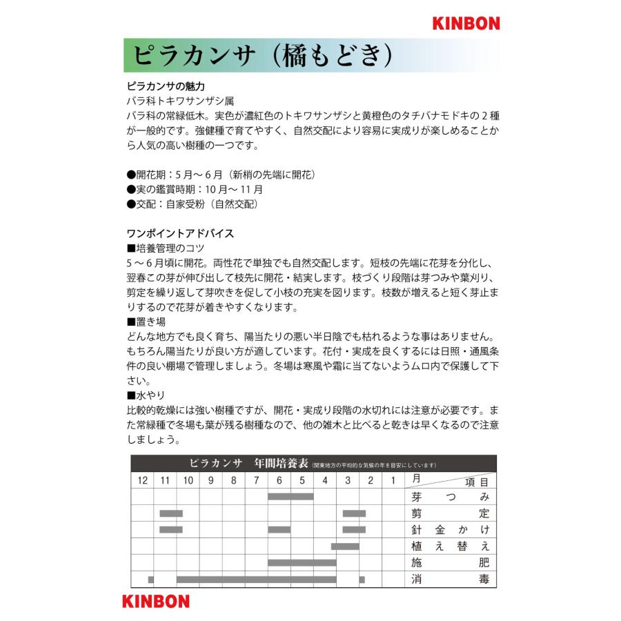 ミニピラカンサ　3点セット ミニッツRWD MR-04 レディセット DENSO KOBELCO SC430 2012 32373DK