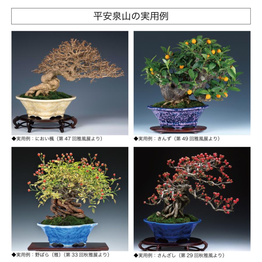 盆栽鉢 京焼 清水焼 平安泉山木瓜式鉢5号 小品盆栽 ミニ盆栽 鉢 陶あん