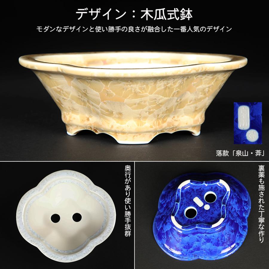盆栽鉢 京焼 清水焼 平安泉山木瓜式鉢6号 小品盆栽 ミニ盆栽 鉢 陶あん