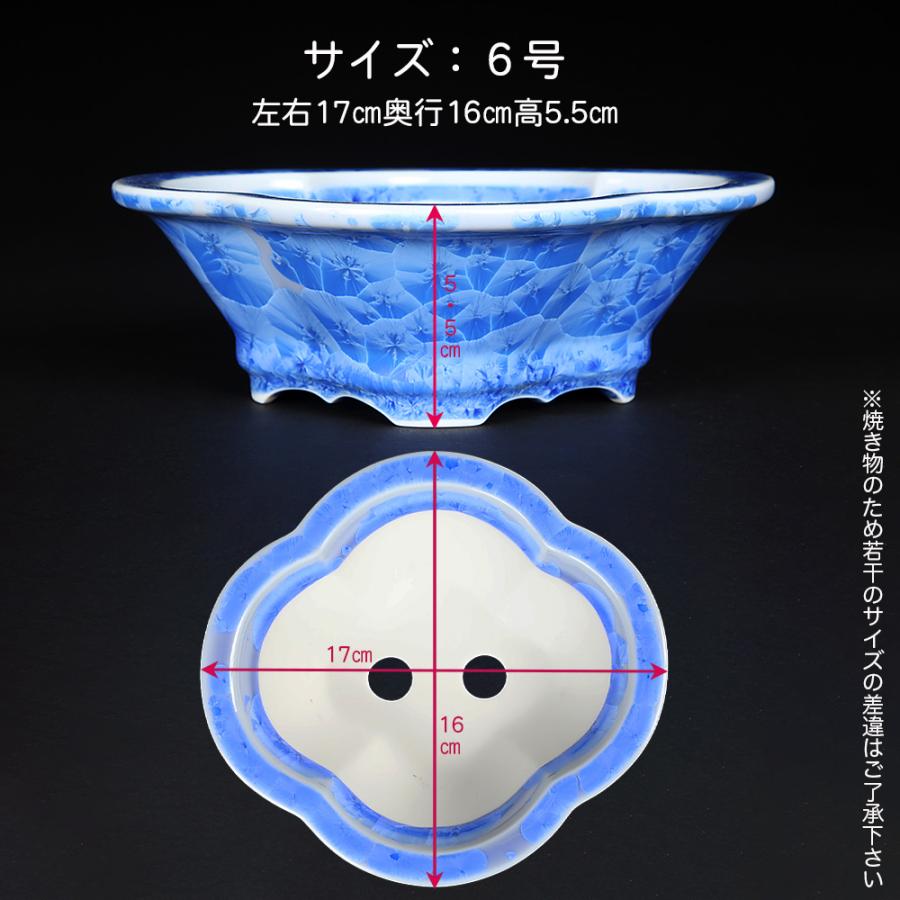 盆栽鉢 京焼 清水焼 平安泉山木瓜式鉢6号 小品盆栽 ミニ盆栽 鉢 陶あん