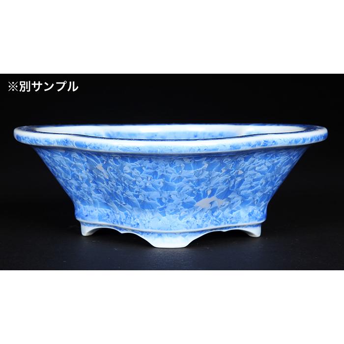 盆栽鉢 植木鉢 「平安泉山青花結晶木瓜式鉢 小」 山草鉢 色鉢 清水焼