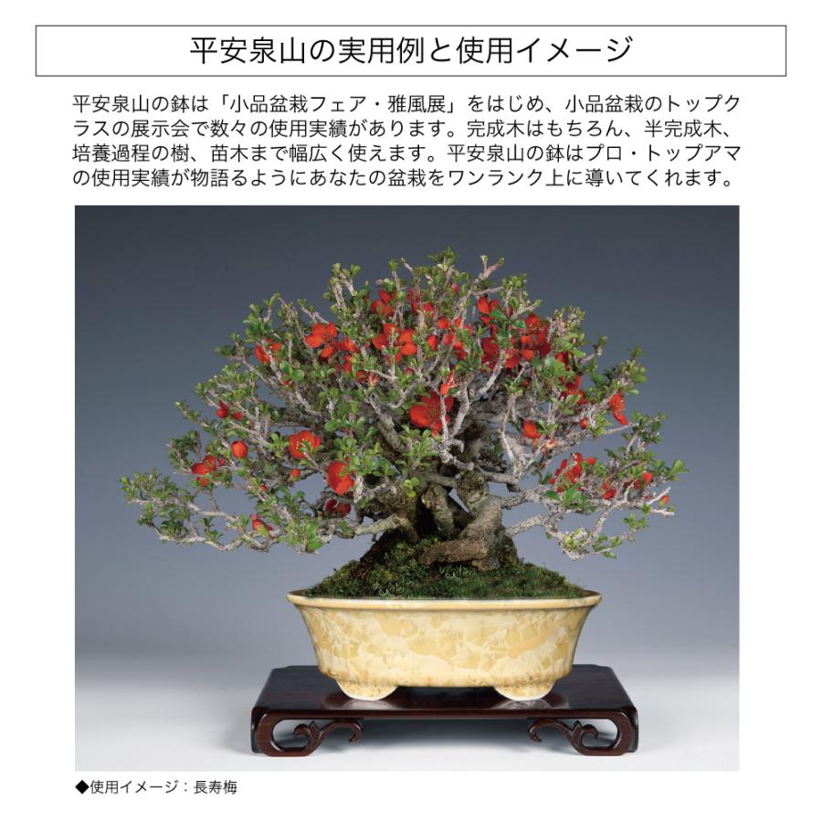 盆栽鉢 京焼 清水焼 平安泉山楕円鉢6号 18cm 小品盆栽 ミニ盆栽 鉢 陶