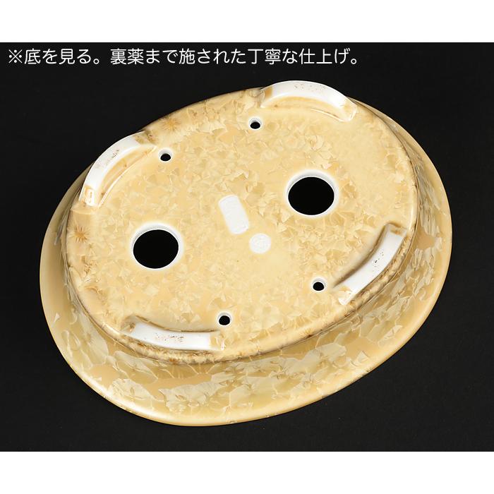 盆栽鉢 植木鉢 「平安泉山黄花結晶楕円鉢」 山草鉢 清水焼 京焼 磁器 6