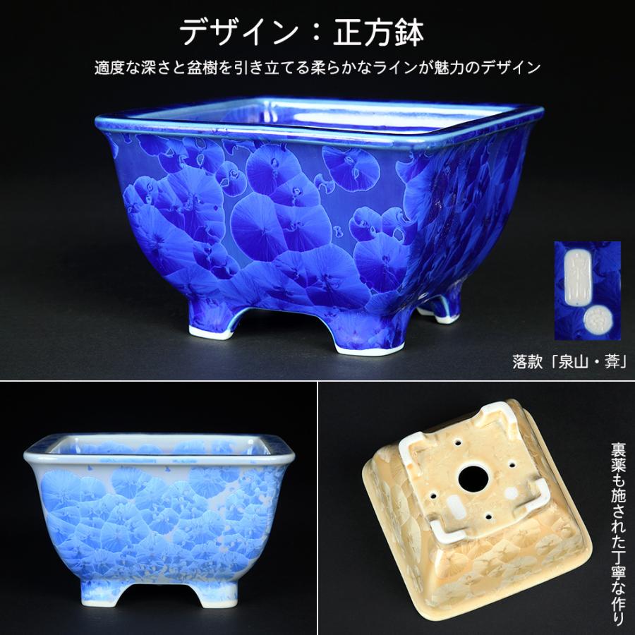 盆栽鉢 京焼 清水焼 平安泉山正方鉢3.5号 小品盆栽 ミニ盆栽 鉢 陶あん