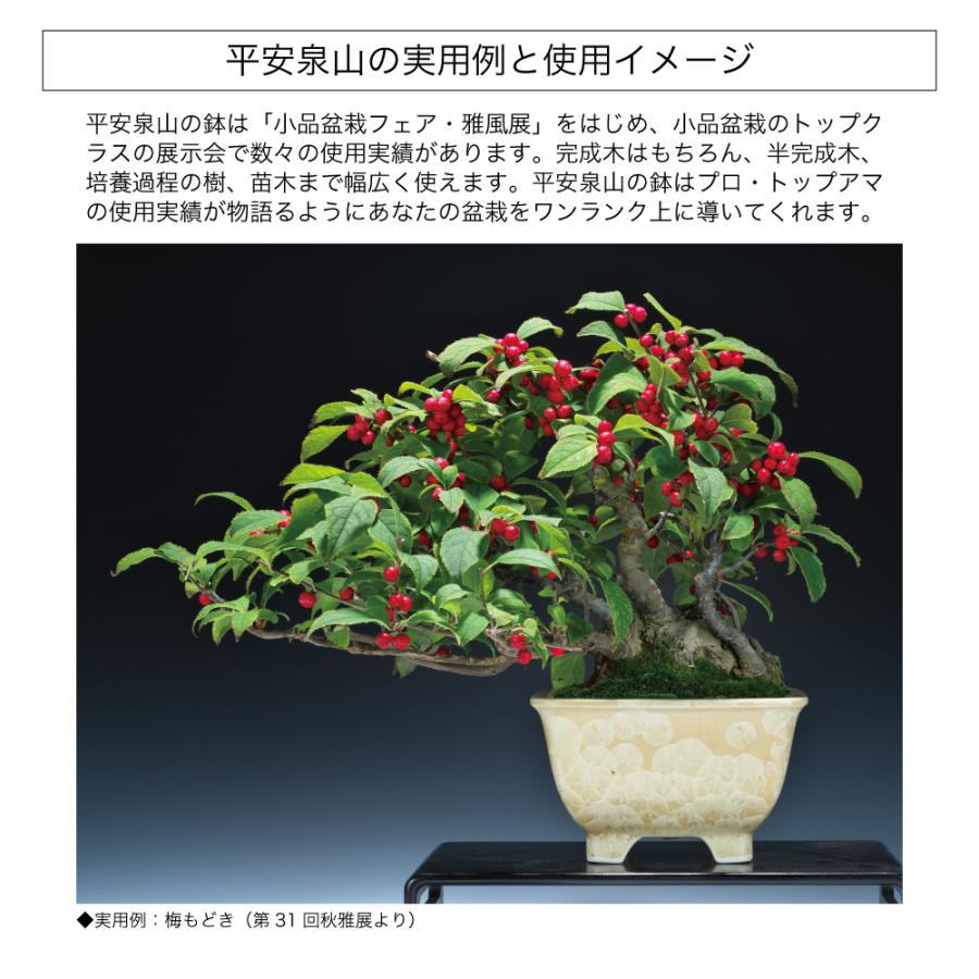 盆栽鉢 京焼 清水焼 平安泉山正方鉢3.5号 小品盆栽 ミニ盆栽 鉢 陶あん