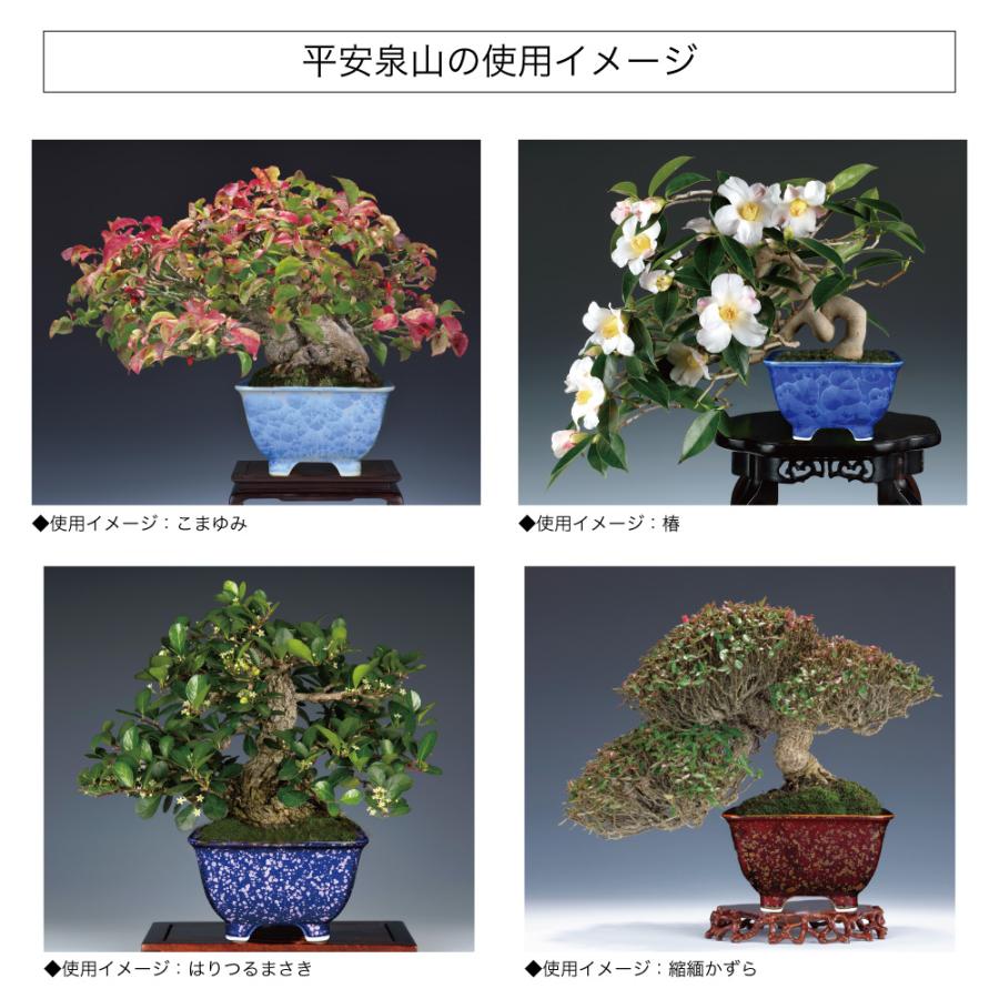 盆栽鉢 京焼 清水焼 平安泉山正方鉢3.5号 小品盆栽 ミニ盆栽 鉢 陶あん