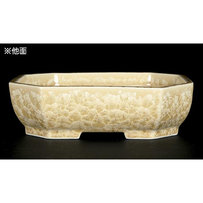 盆栽鉢 植木鉢 「平安泉山黄花結晶隅切長方鉢」 山草鉢 清水焼 京焼