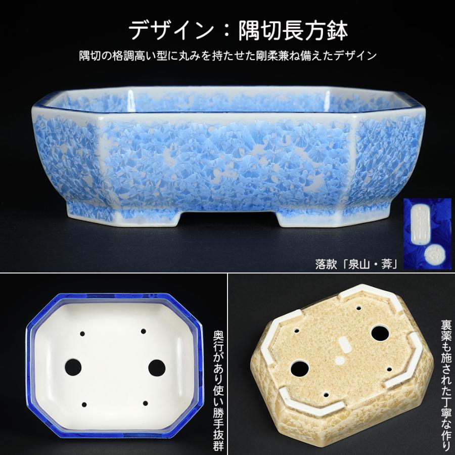 盆栽鉢 京焼 清水焼 平安泉山隅切長方鉢5.5号 小品盆栽 ミニ盆栽 陶
