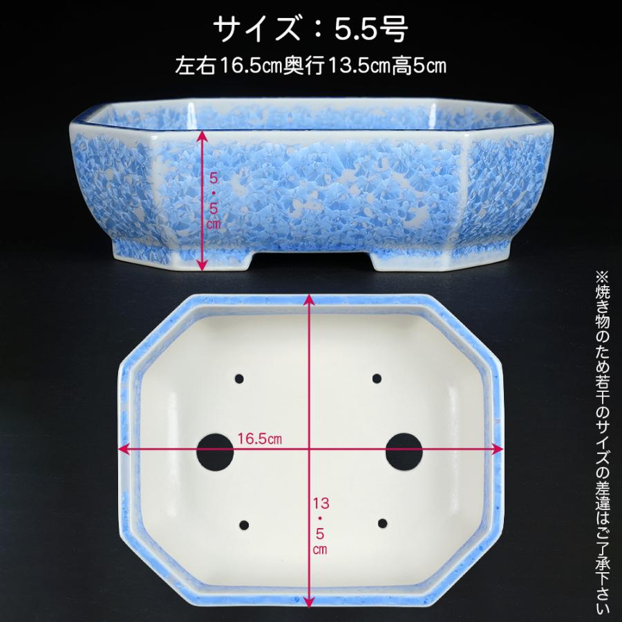 盆栽鉢 京焼 清水焼 平安泉山隅切長方鉢5.5号 小品盆栽 ミニ盆栽 陶