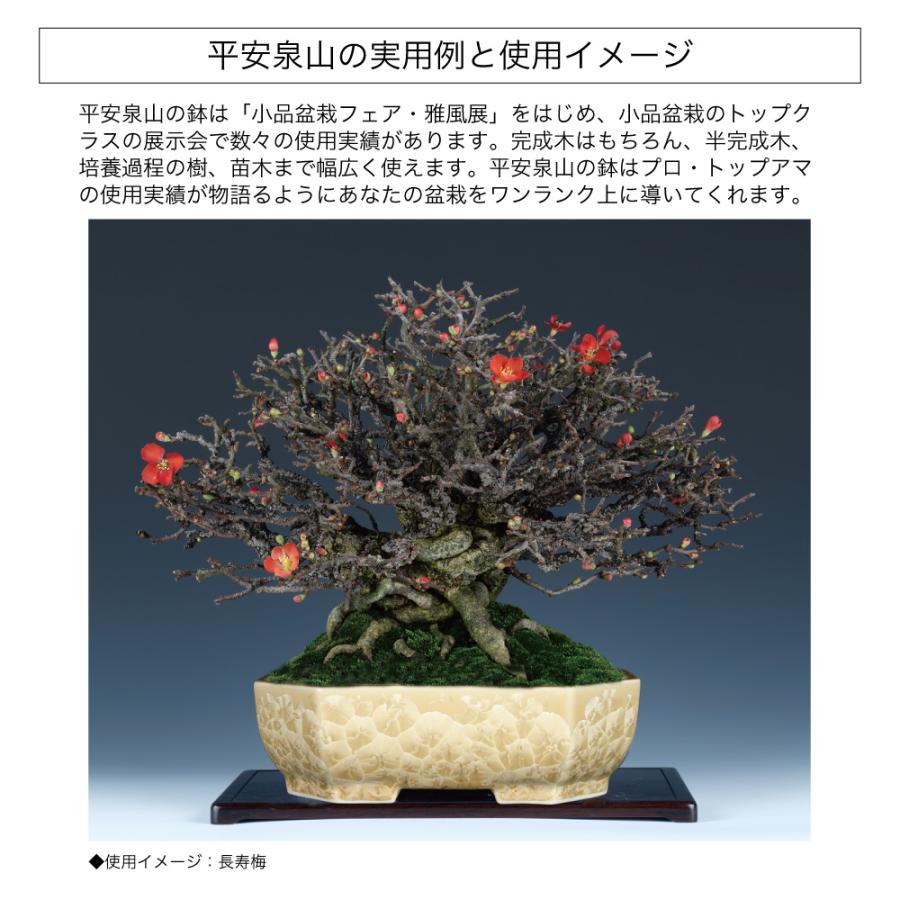 盆栽鉢 京焼 清水焼 平安泉山隅切長方鉢5.5号 小品盆栽 ミニ盆栽 陶