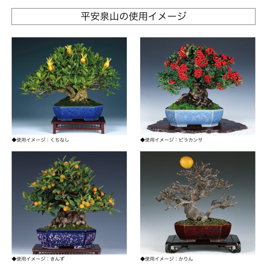 盆栽鉢 京焼 清水焼 平安泉山隅切長方鉢5.5号 小品盆栽 ミニ盆栽 陶