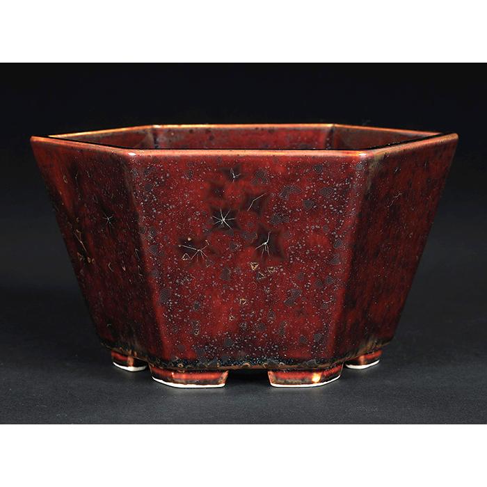 盆栽鉢 和鉢 人気作家 寺畑 真山 烏泥上下帯撫角長方